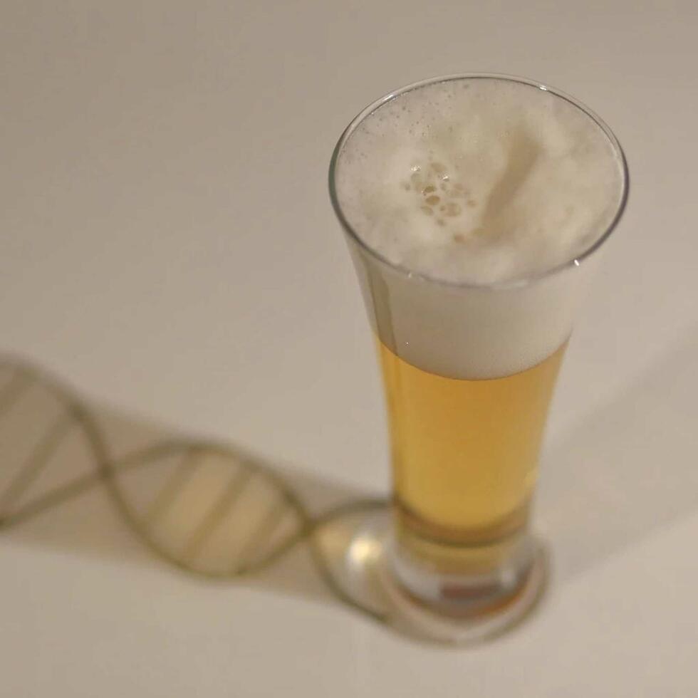Genetic Code of Bier