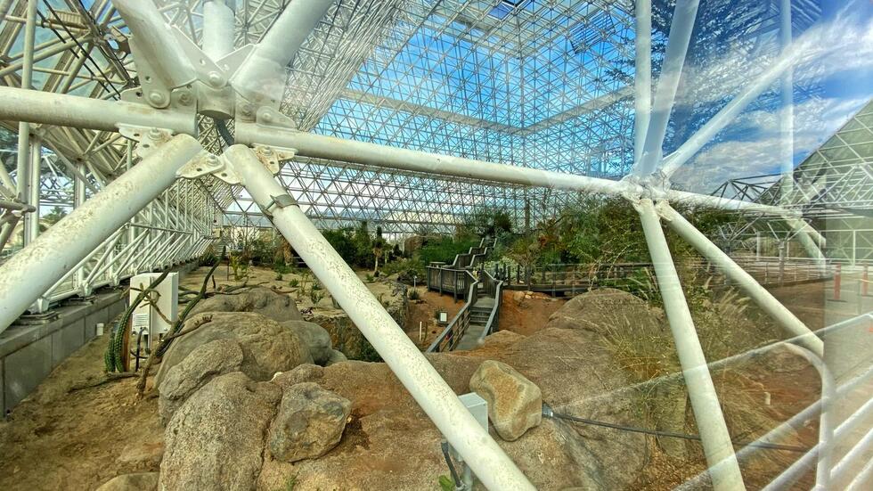 Biosphere II greenhouse jungle