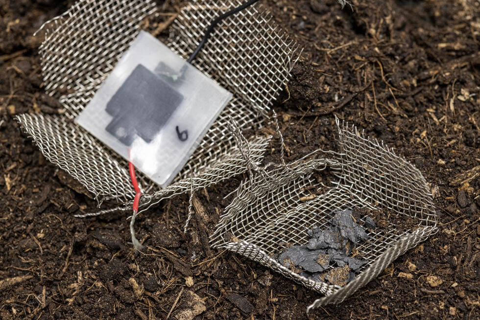 After two months in the ground, the capacitor has dissolved, leaving only a few visible carbon particles.