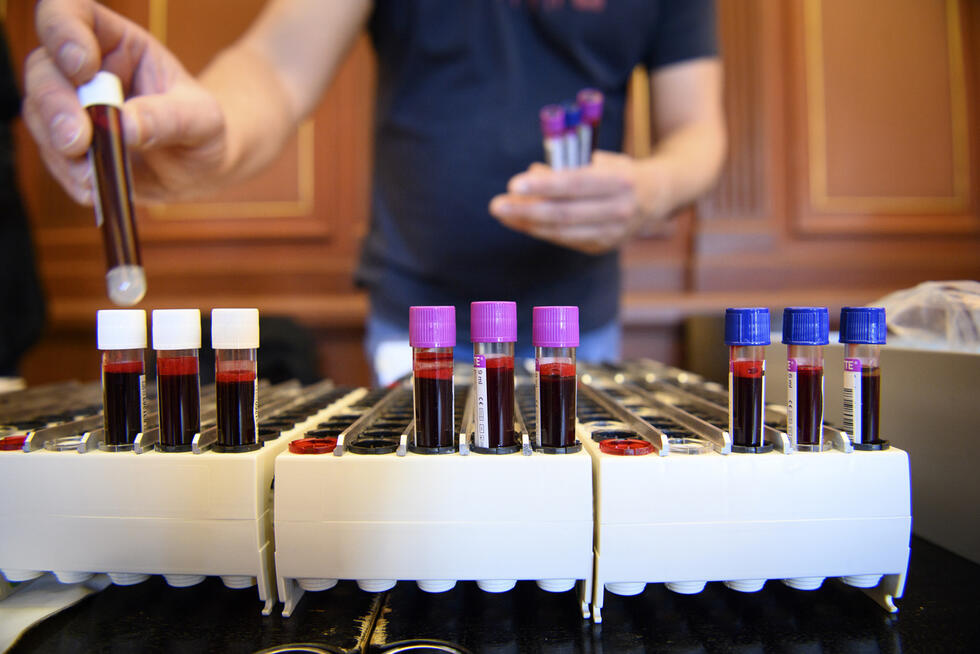 blood samples in a lab