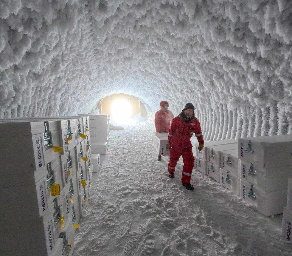 Ice core analysis in the Antarctica