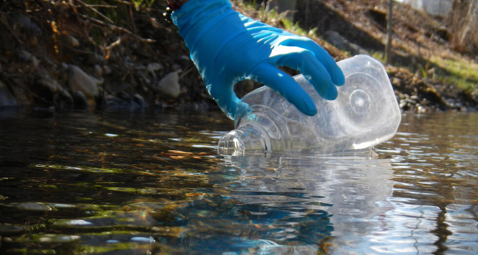 A scientist taking a water sample with a bottle