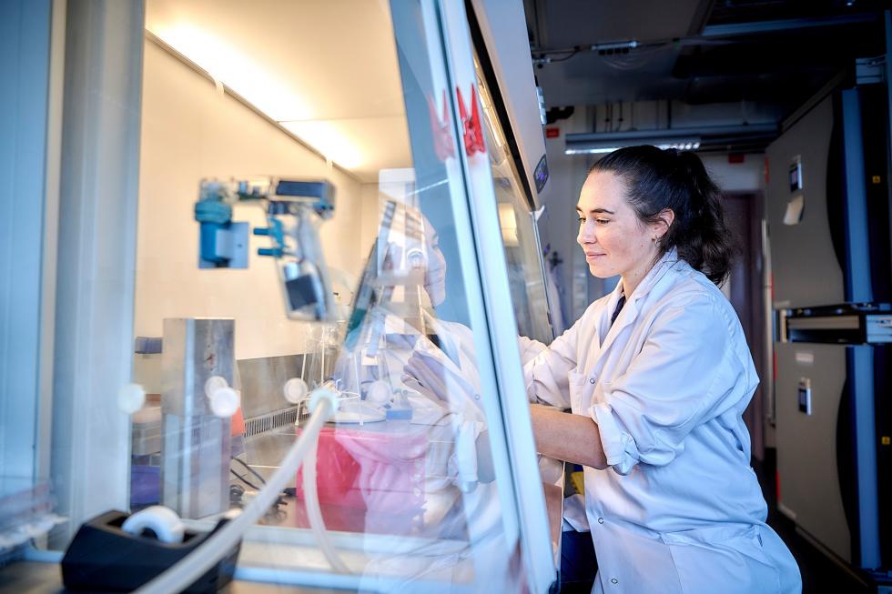 Researcher Pauline Zamprogno in the Organs-on-Chip Culture lab at the University of Bern. 