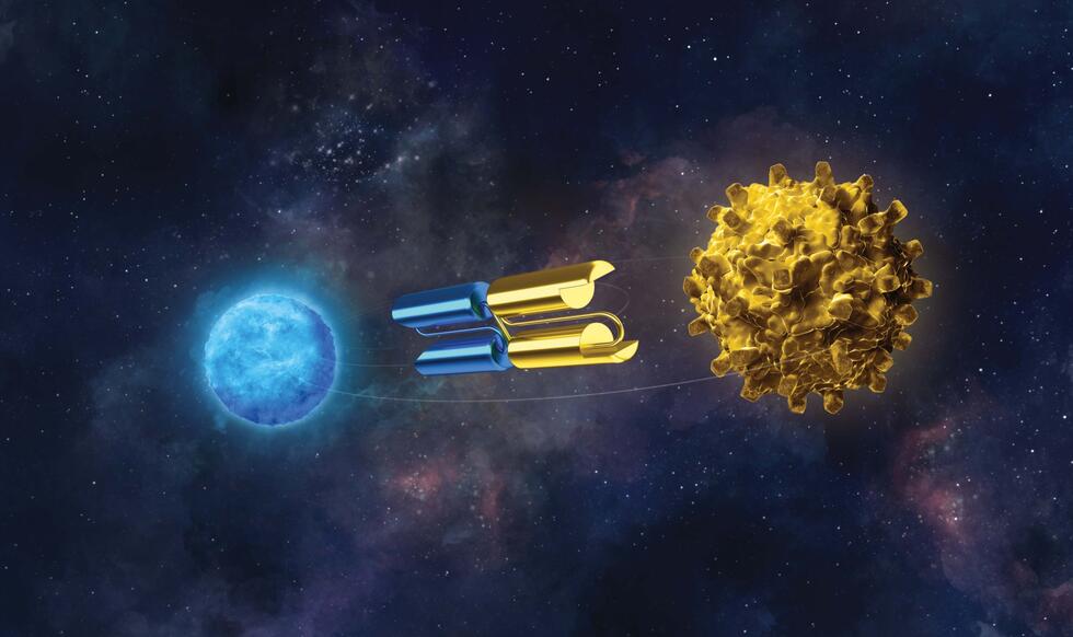 BiTE molecules are designed to form a bridge between cancer cells (yellow) and cytotoxic T cells (blue)