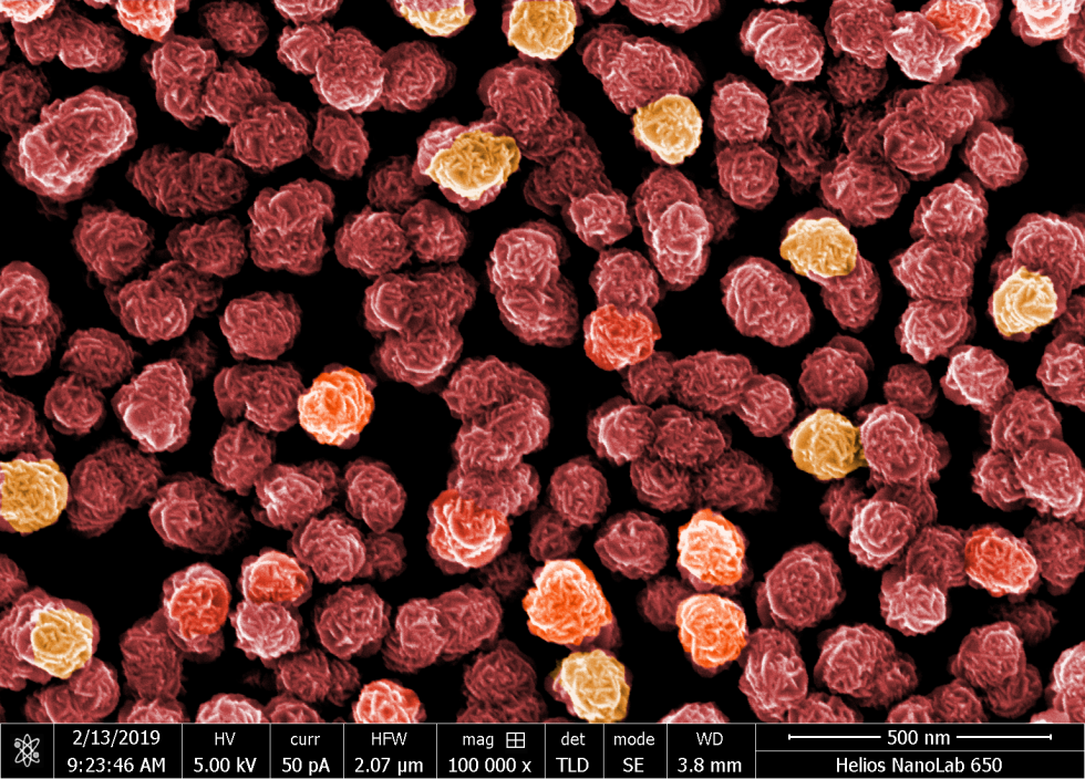 Detail image of nanoparticles by L. Driencourt CSEM / M. Schönenberger (Nano Imaging Lab)