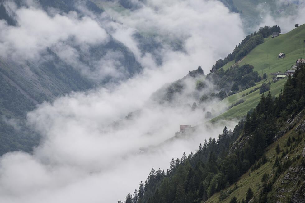 A new material turns fog into drinking water