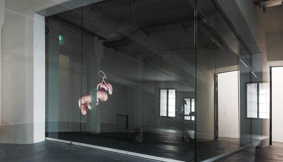 "Projection" of Esther Hunziker at "Body Archive Project" in Zurich (CH)