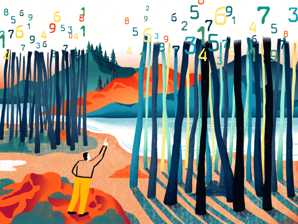Illustration "The tree counter"