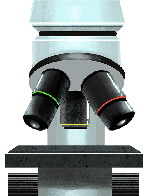 Illustration of a Corona lab