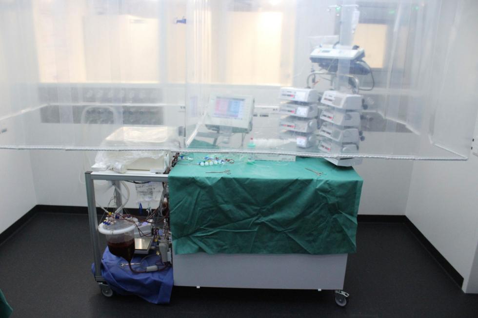 Perfusion machine for the storage of donor livers